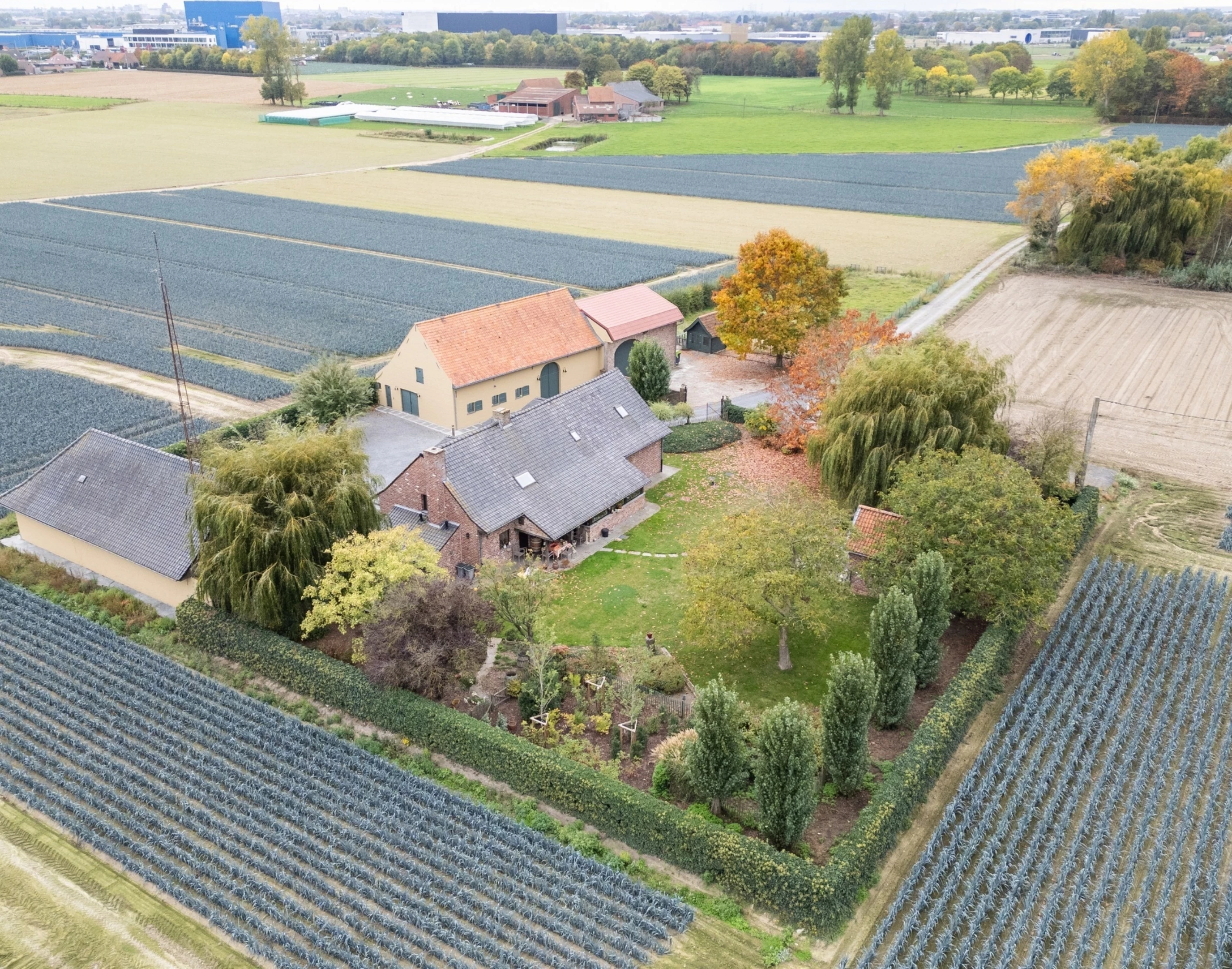 20251016 JJ Brabantstraat 46 8800 Roeselare 1