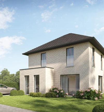 Rectangle 32 2026 03 11 133301 bpey