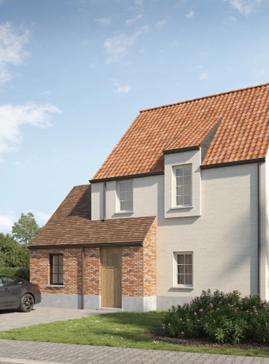 Rectangle 30 2026 03 11 133306 ngtp