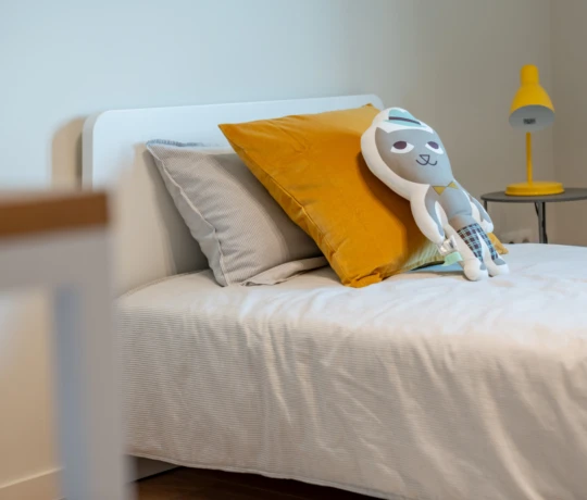 Inspiratiewoning Zwijnaarde