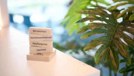 Hires Hyboma WAL3504